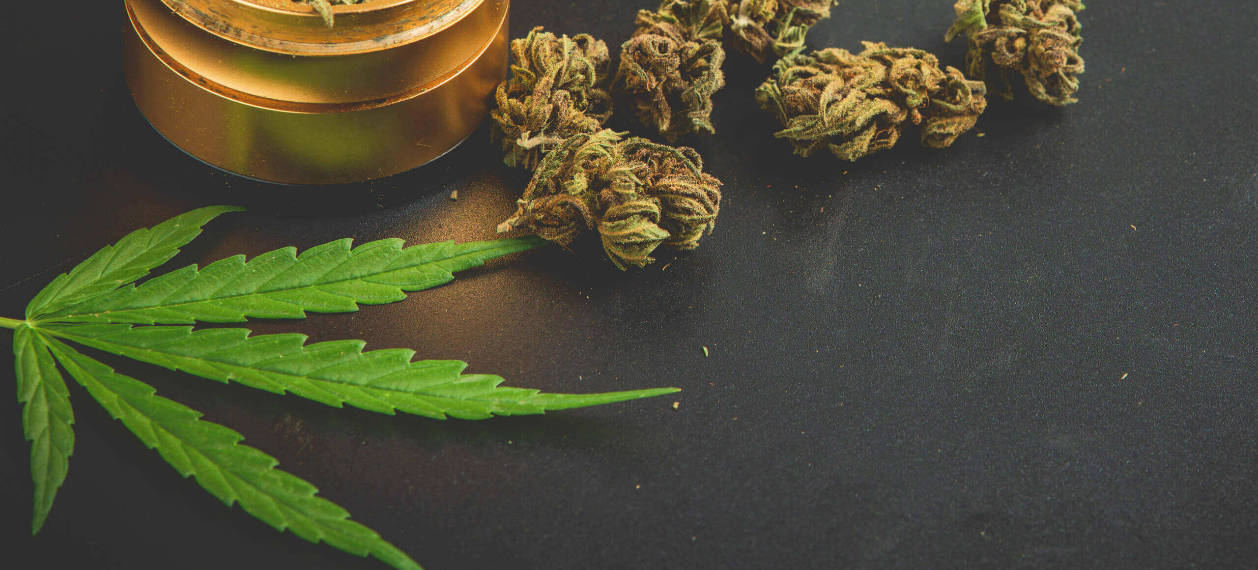 cannabis