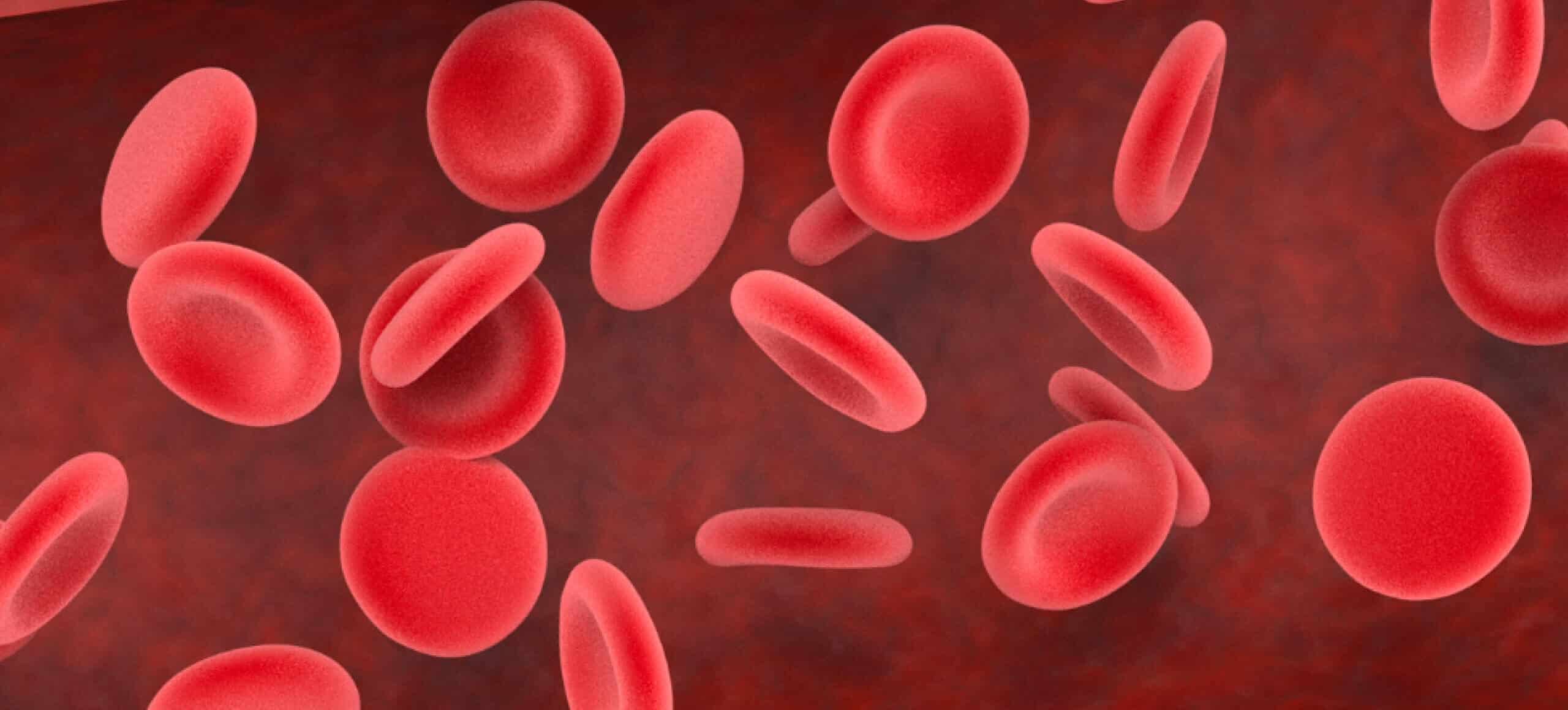 hemograma